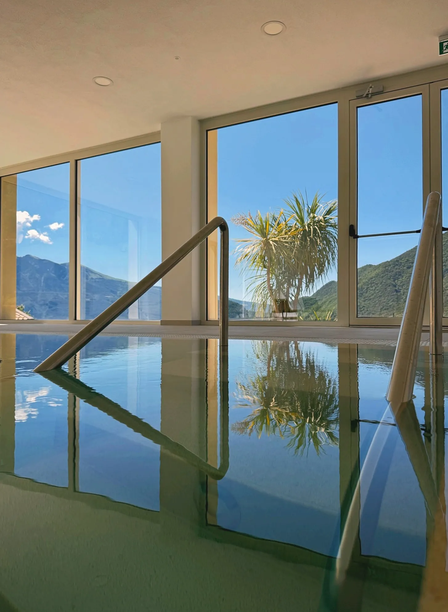 Panoramablick über den Pool mit Palme